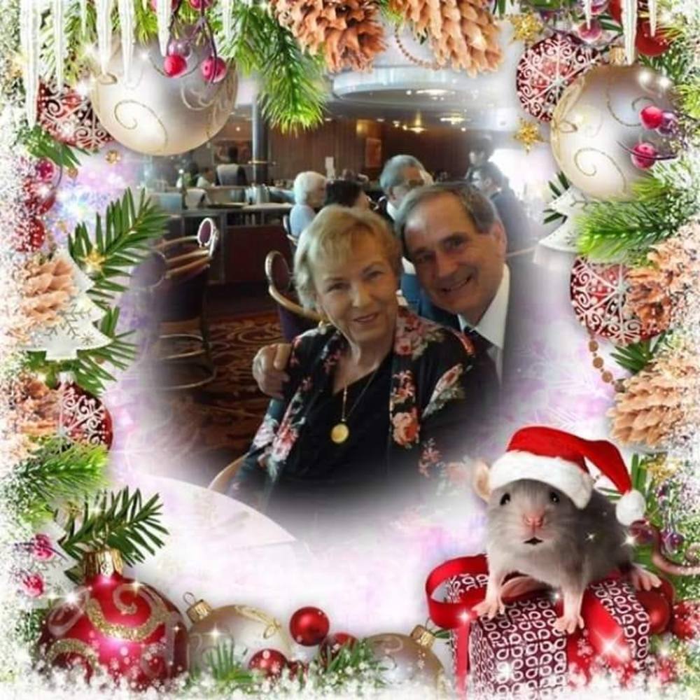 Meet your Posher, Georgie